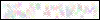 Auth Image