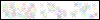 Auth Image